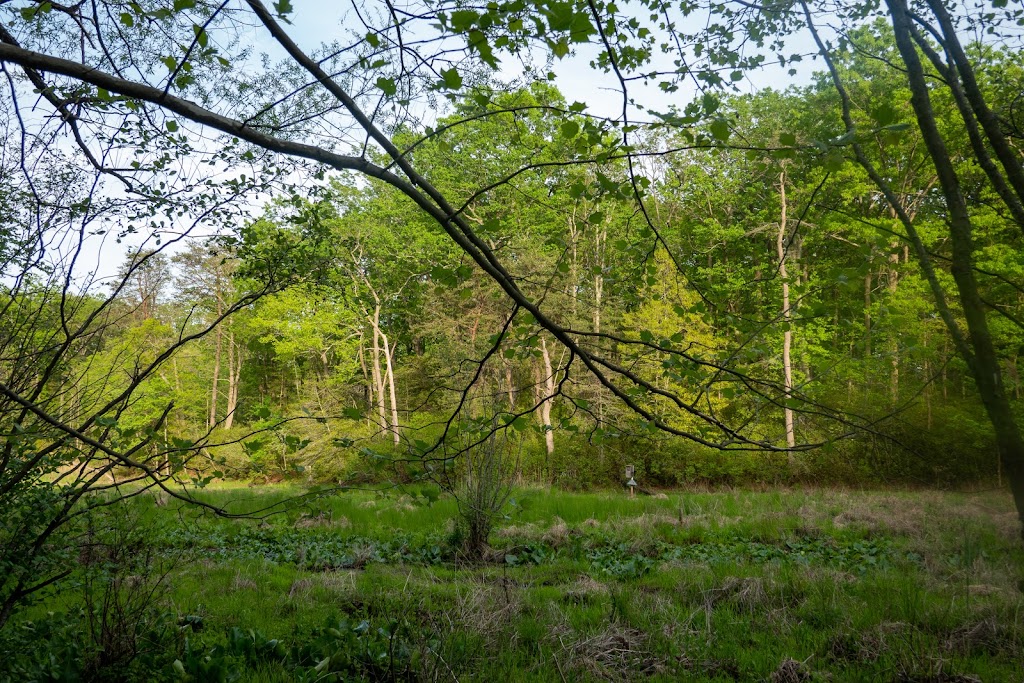 Cattail Creek Natural Area | Severna Park, MD 21146, USA | Phone: (443) 679-6575