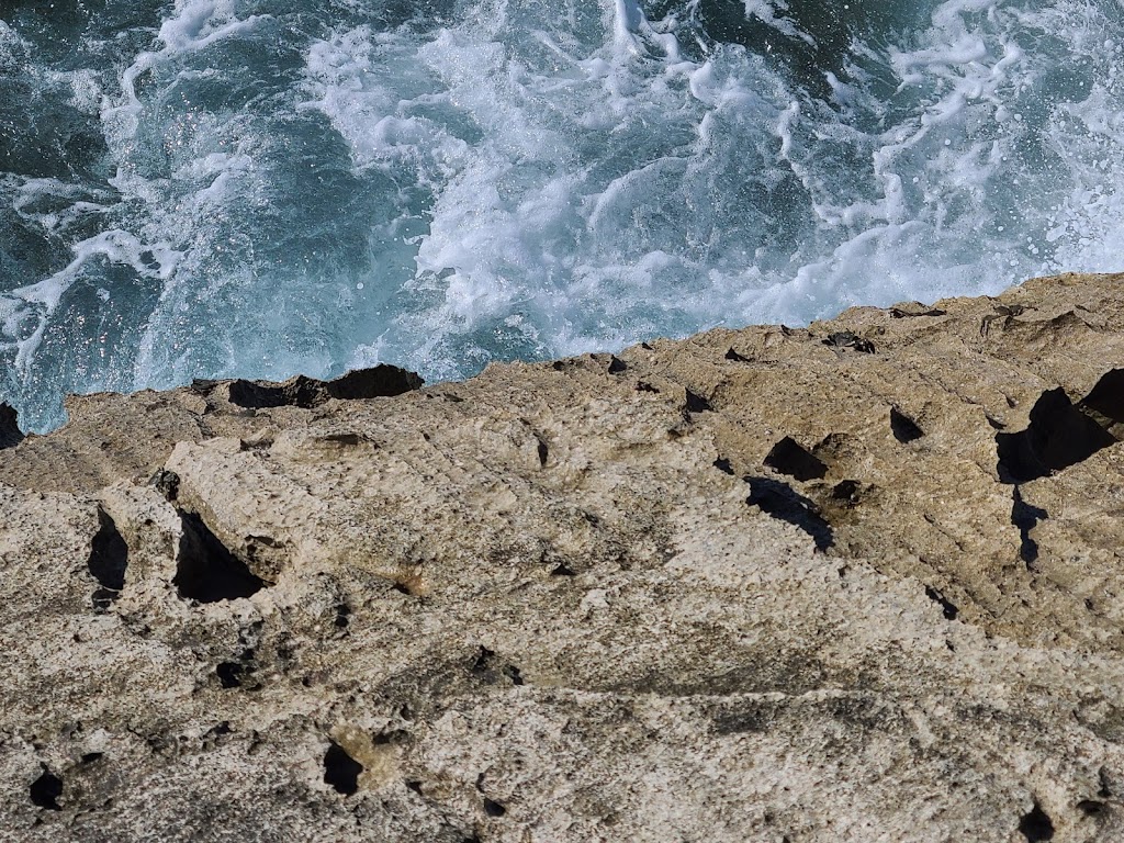 Lāʻie Point State Wayside | End of Naupaka Street, HI-83, Laie, HI 96762, USA | Phone: (808) 587-0300