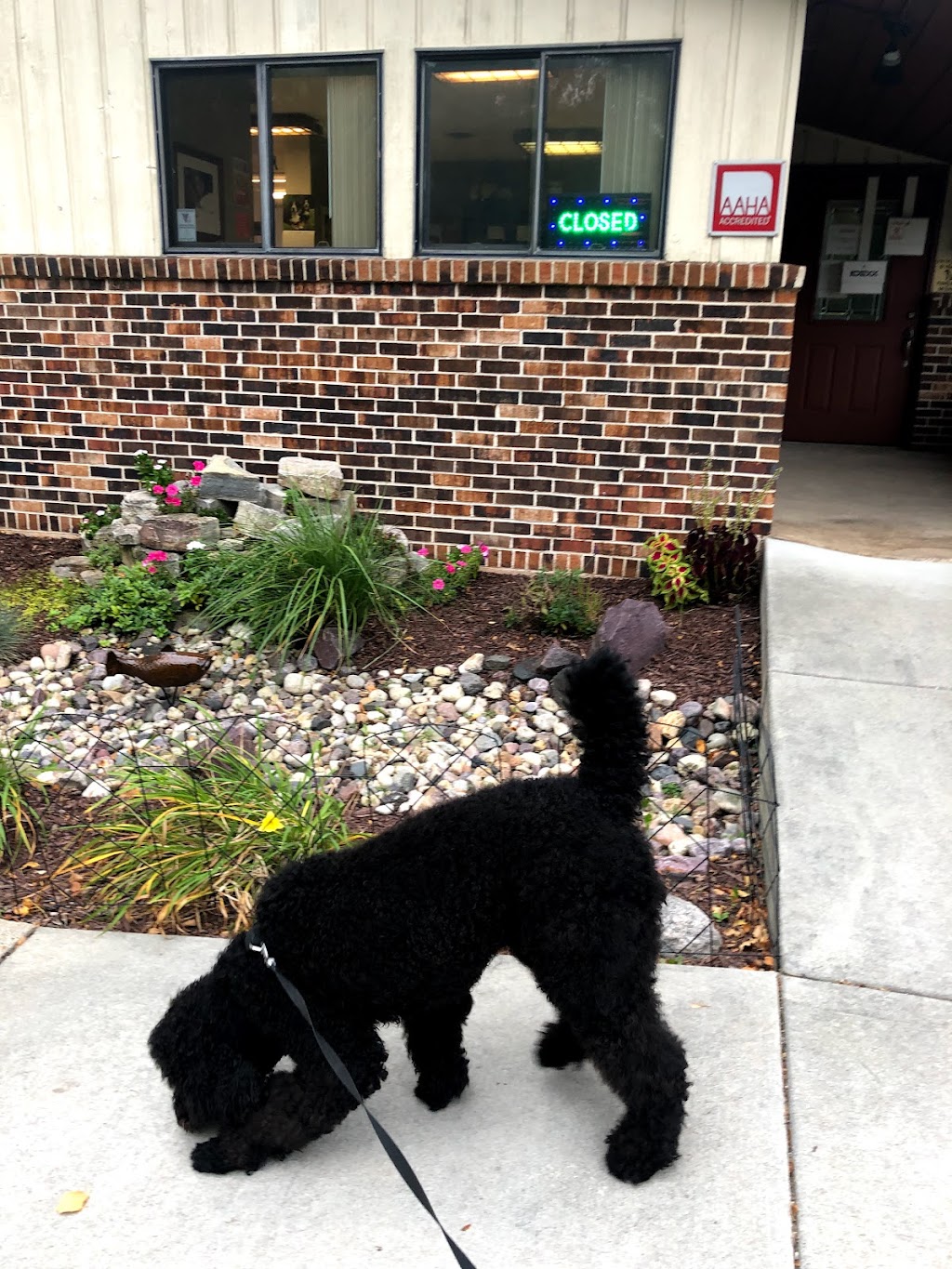 Token Creek Veterinary Clinic | 3790 WI-19, Sun Prairie, WI 53590, USA | Phone: (608) 834-9700