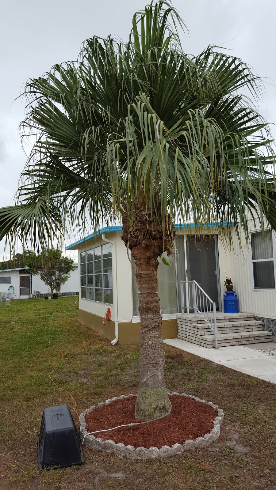 Ridgewood Mobile Home Park | 449 Ixora Cir, Venice, FL 34285, USA | Phone: (941) 488-8221