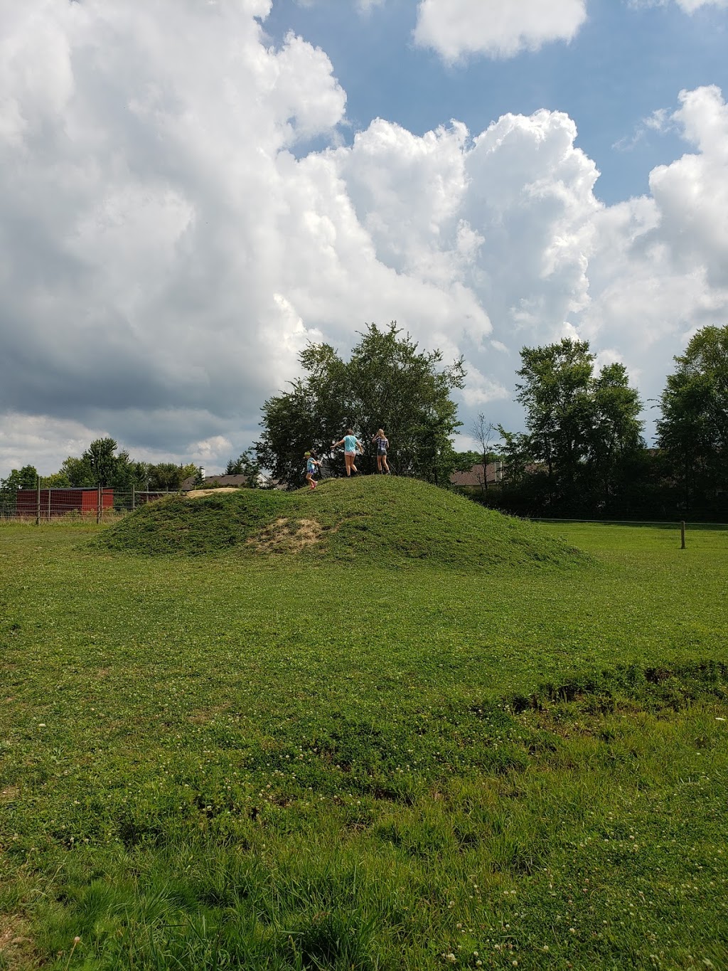 Spring Mist Farms | 691 Pearl Rd, Brunswick, OH 44212, USA | Phone: (330) 225-3565