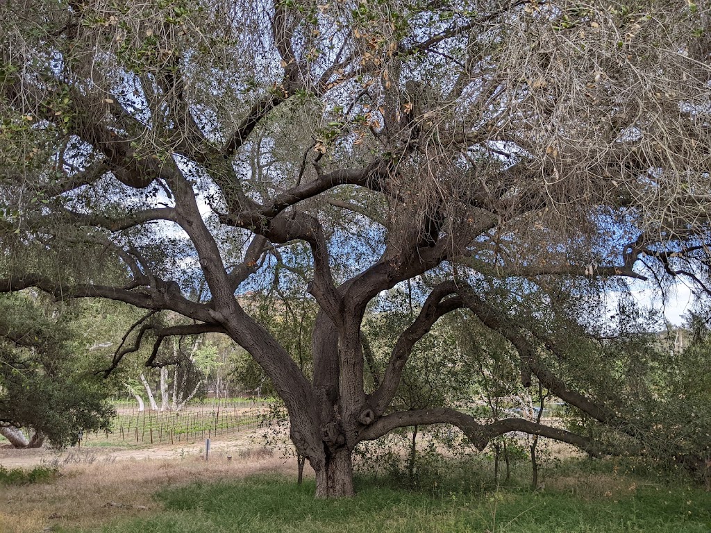 Gird Valley Preserve | Fallbrook, CA 92028, USA | Phone: (760) 728-0889