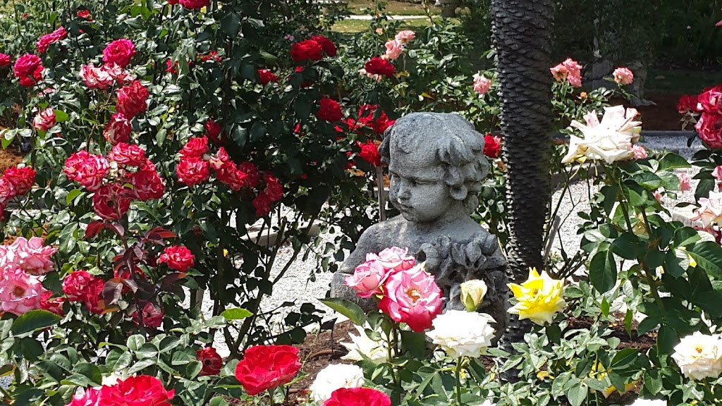 Mable Ringling Rose Garden at The Ringling | 5401 Bay Shore Rd, Sarasota, FL 34243, USA | Phone: (941) 359-5700