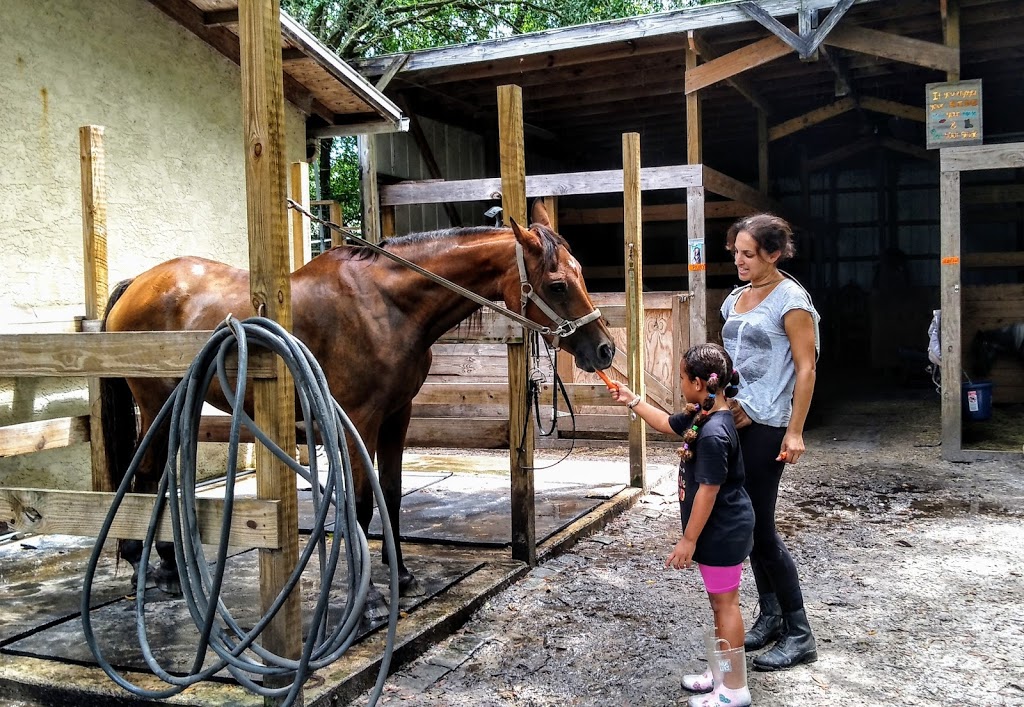 TRUE SKY STABLES | 3440 Forelock Rd, Tarpon Springs, FL 34688, USA | Phone: (727) 460-3851