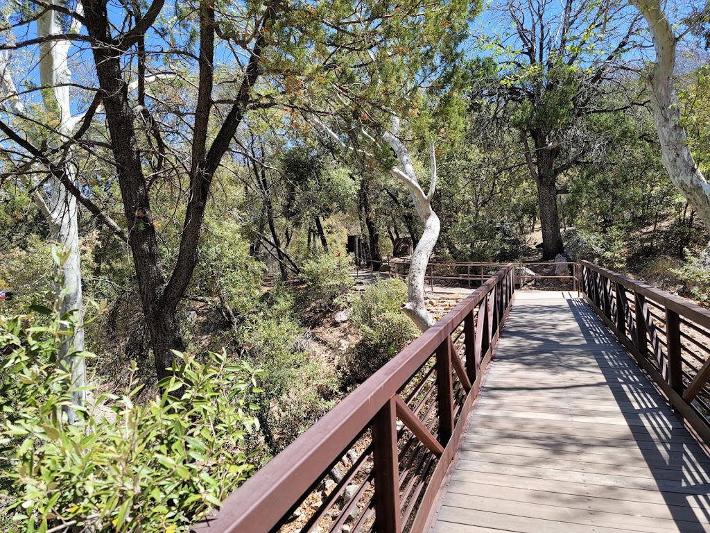 Madera Canyon | S Madera Canyon Rd, Amado, AZ 85645, USA | Phone: (520) 281-2296