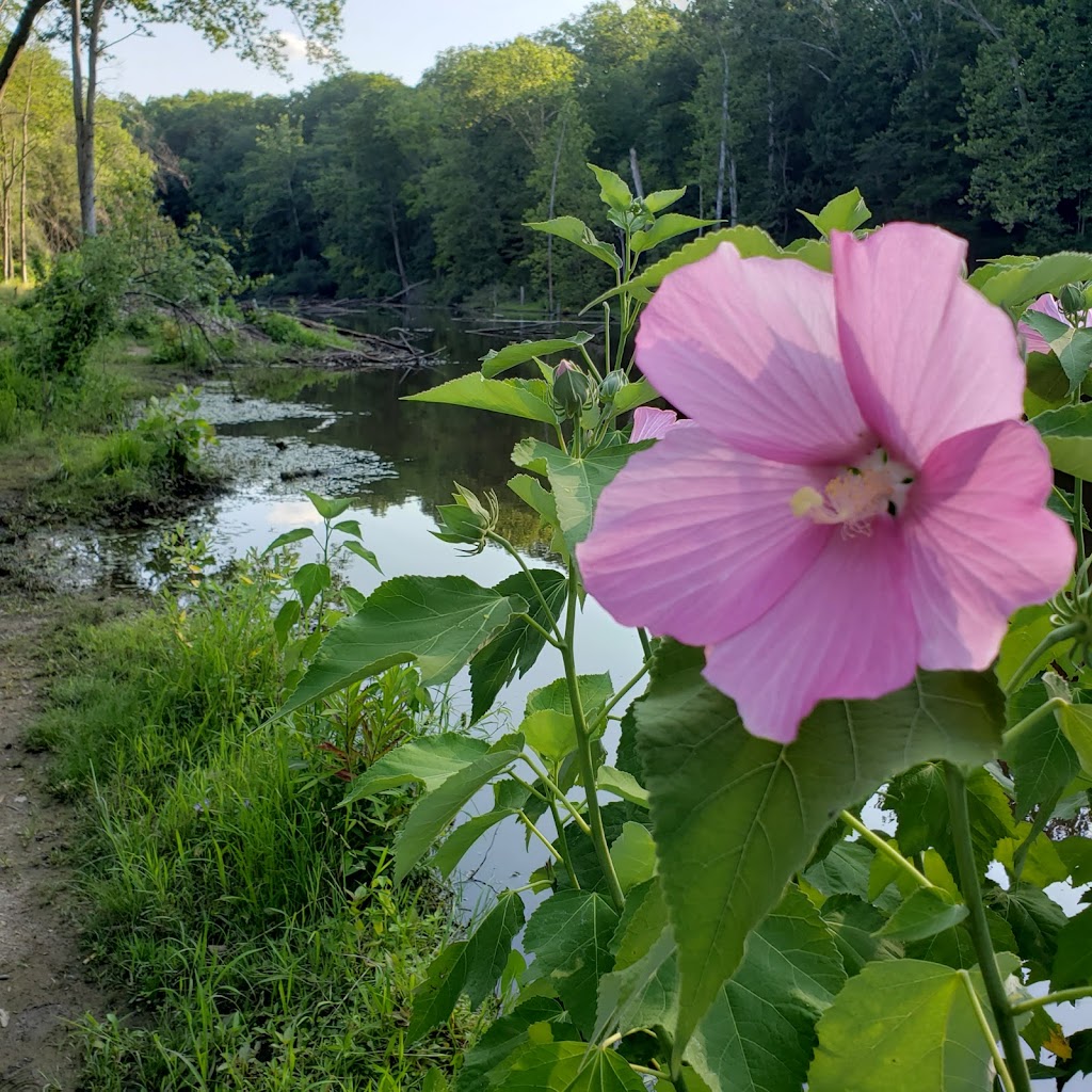 Lagoon Picnic Area | Valley Pkwy, Brook Park, OH 44138 | Phone: (216) 635-3200