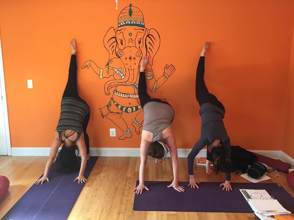 Coba yoga | 115 -A Oceanport Ave, Little Silver, NJ 07739, USA | Phone: (732) 889-4656