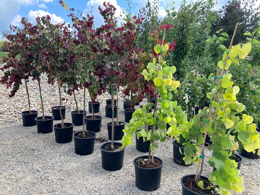 Ben’s Nursery & Landscape Supply | 4756 Hwy Y, Valles Mines, MO 63087, USA | Phone: (573) 315-7047