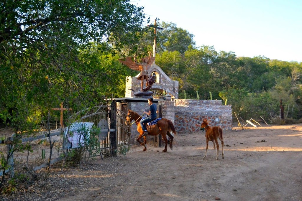 Hacienda El Capricho | C. El Camino Real 1, 22701 El Gato, B.C., Mexico | Phone: (619) 254-6730