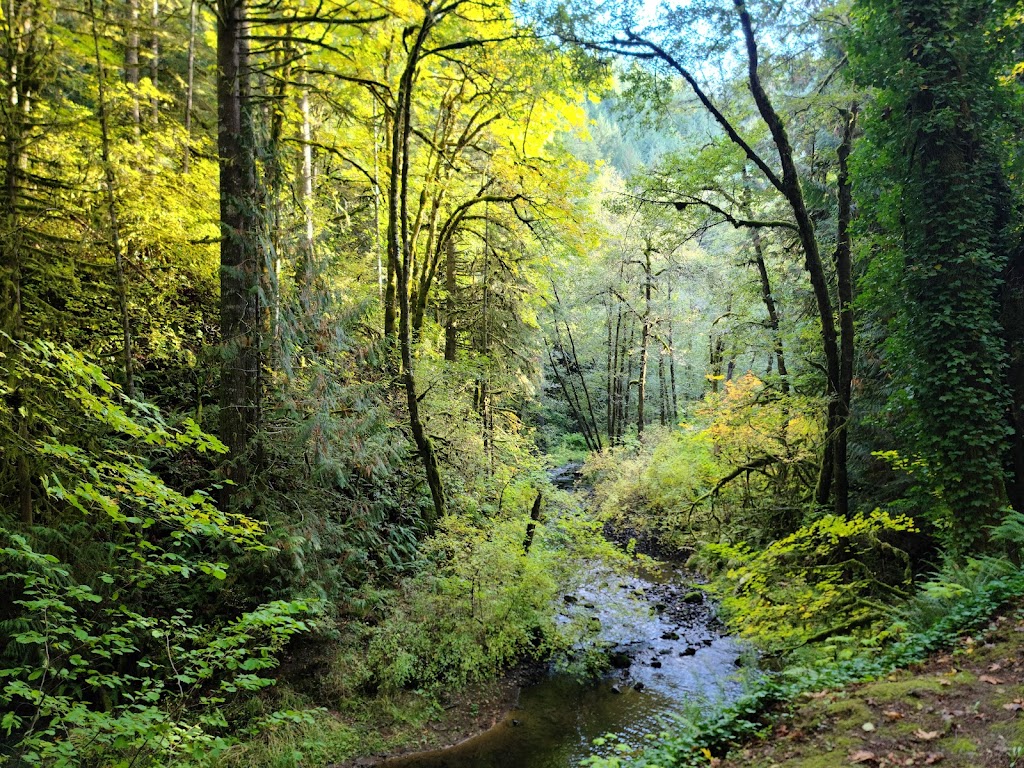 Chapman Landing Trailhead - CZ Trail | Unnamed Road, Scappoose, OR 97056, USA | Phone: (503) 543-7146