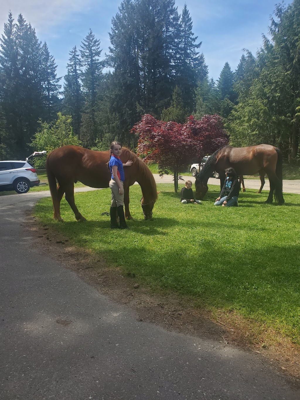 Grand Farms Riding Academy | 12604 189th Ave NW, Gig Harbor, WA 98329, USA | Phone: (360) 558-9469