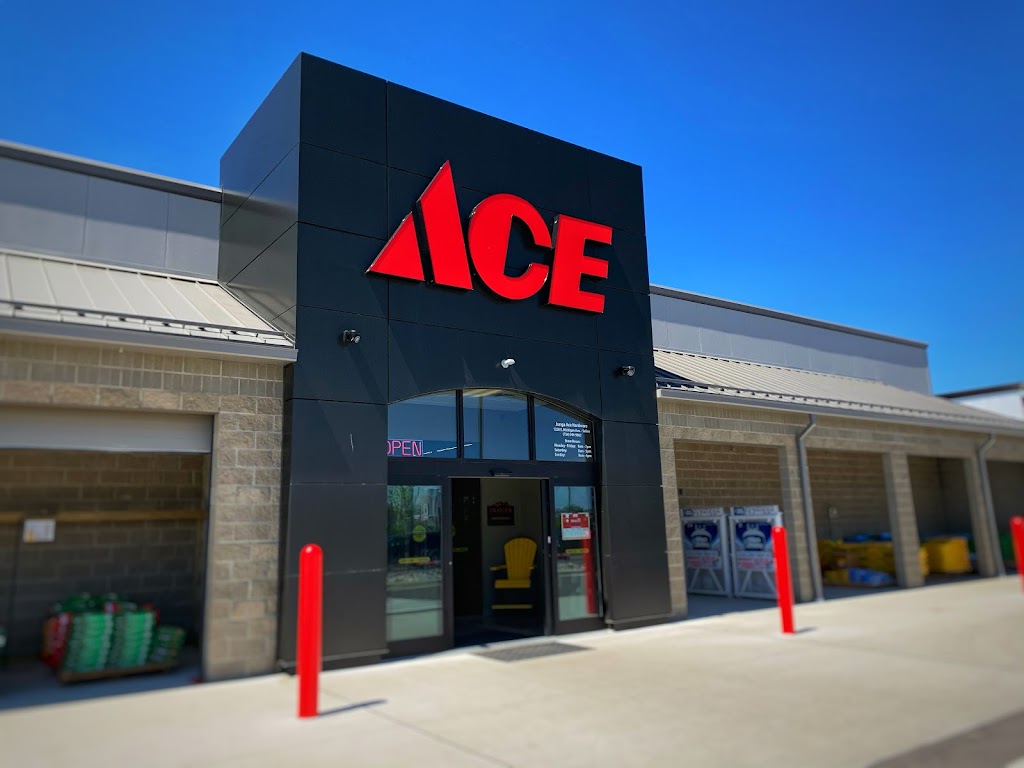 Jungas Ace Hardware | 1220 E Michigan Ave, Saline, MI 48176, USA | Phone: (734) 944-9862