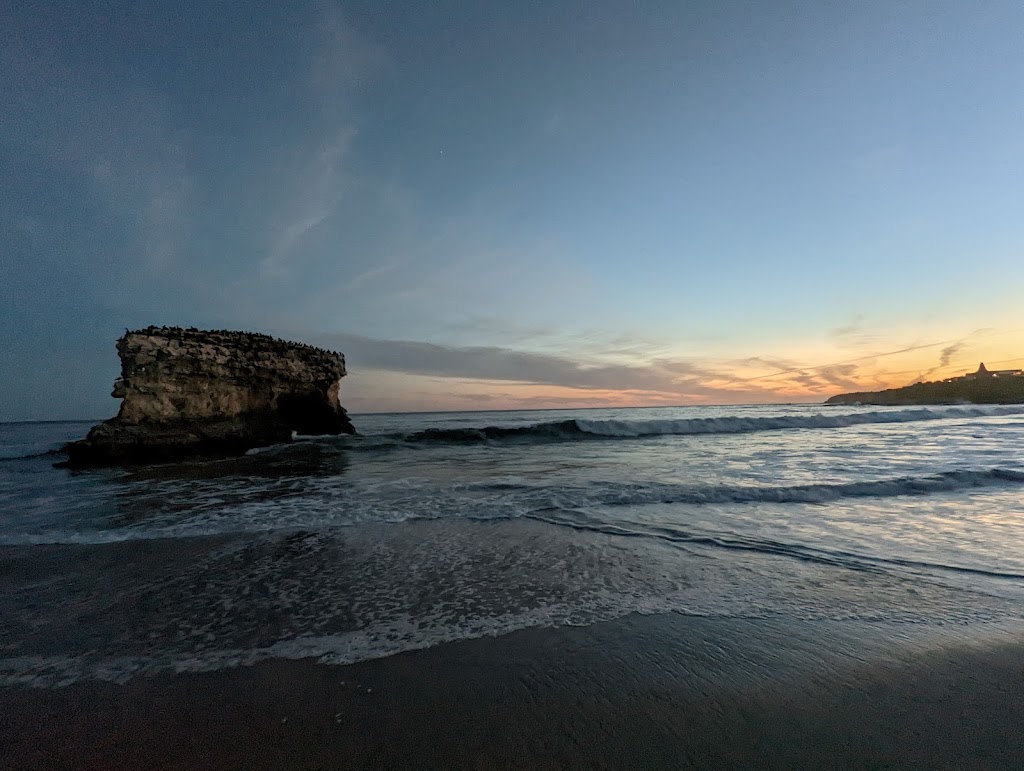 Natural Bridges State Beach | 2531 W Cliff Dr, Santa Cruz, CA 95060, USA | Phone: (831) 423-4609