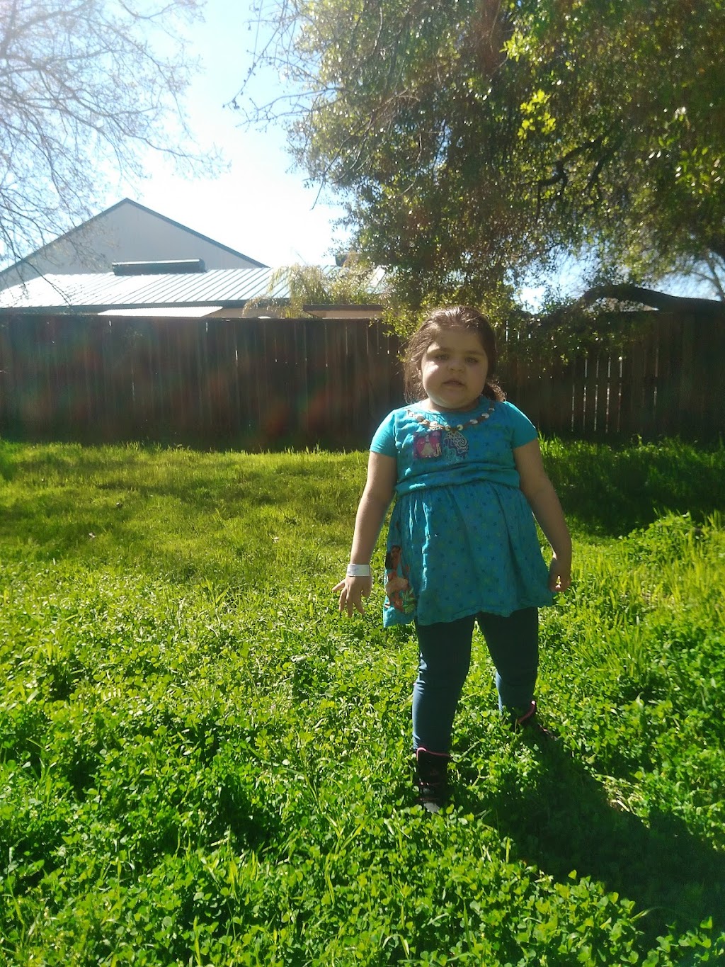 Christa McAuliffe Park | 2400 Merrychase Dr, Cameron Park, CA 95682, USA | Phone: (530) 677-2231