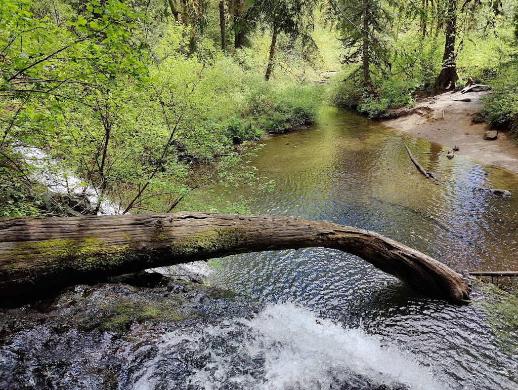 Cherry Creek Falls Trailhead | 16538 Kelly Rd NE, Duvall, WA 98019, USA | Phone: (206) 625-1367