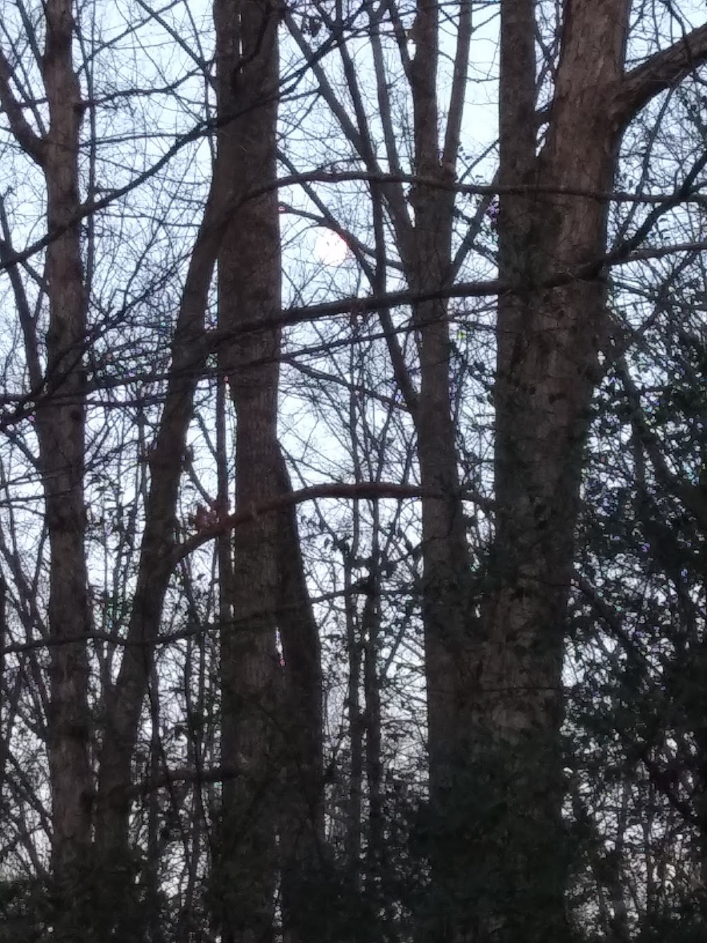 Roadside LLC | 967 Stone Mountain Rd, Stoneville, NC 27048, United States | Phone: (336) 573-3019