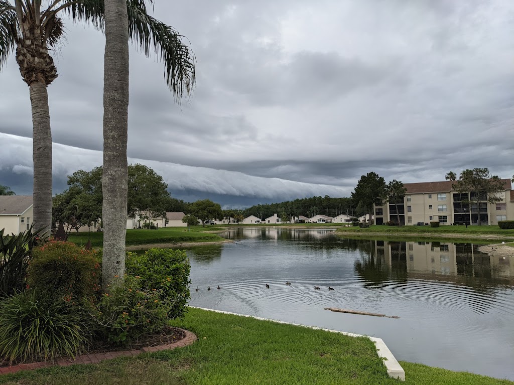 Millpond Estates Community Inc | 7729 Morningdale Dr, New Port Richey, FL 34653, USA | Phone: (727) 376-1991