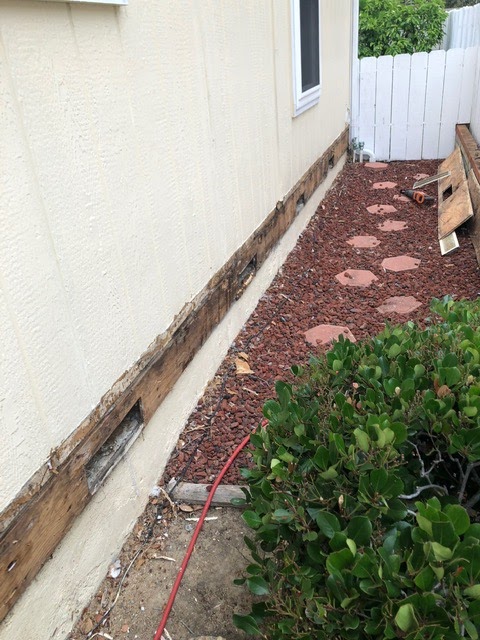 DAV Termite and Pest Inc. | 2737 Via Orange Way Suite 107, Spring Valley, CA 91978, USA | Phone: (619) 292-2846