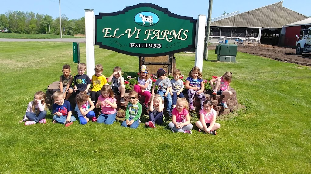 El-Vi Farms Inc | 14 Pelis Rd, Newark, NY 14513, USA | Phone: (315) 331-2779