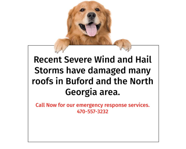 Top Dog Roofing | Findley Dr #4517, Flowery Branch, GA 30542, USA | Phone: (470) 557-3232