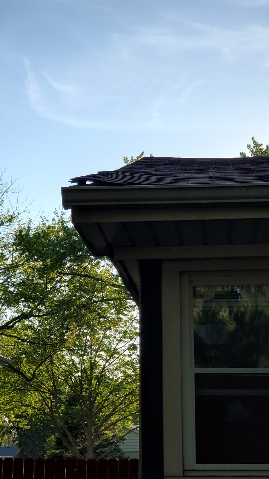 Lion Roofing Corporation | 1773 E Oakton St, Des Plaines, IL 60018, USA | Phone: (847) 312-0666