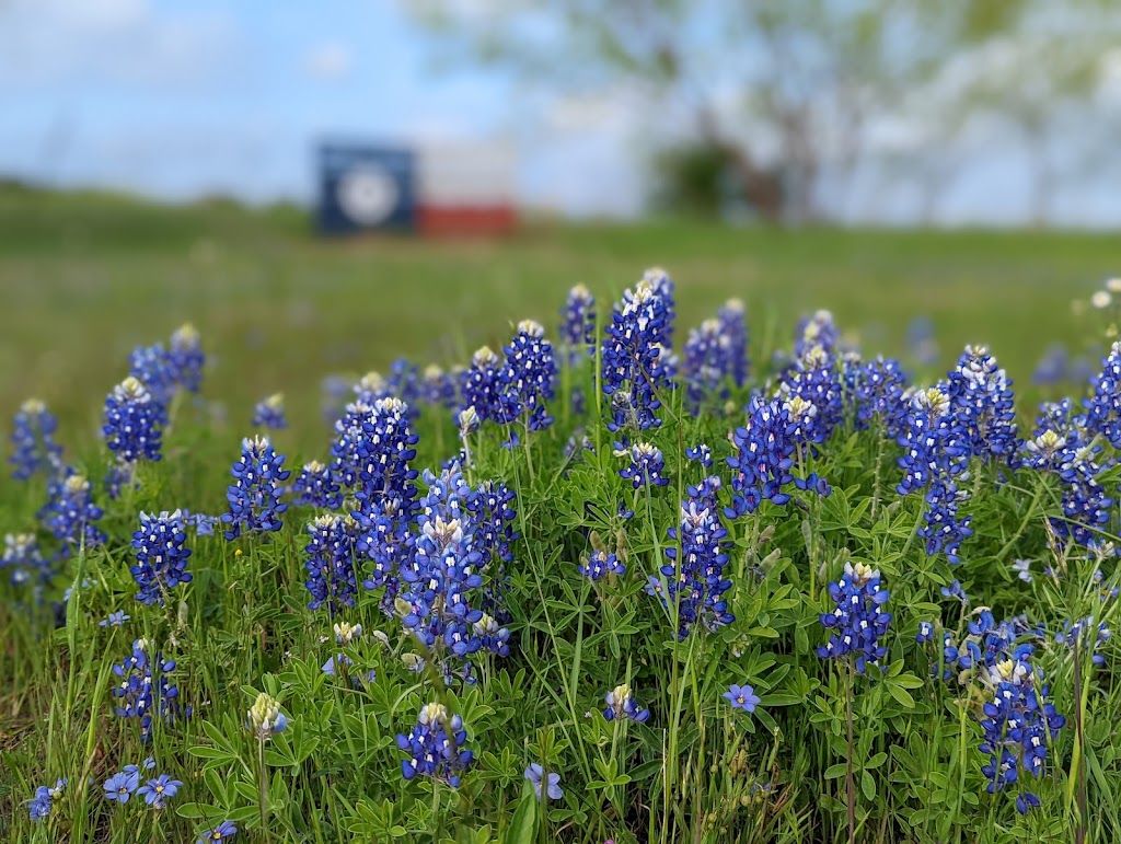 Bluebonnet Park | 201 S US-287, Ennis, TX 75119 | Phone: (972) 875-1234