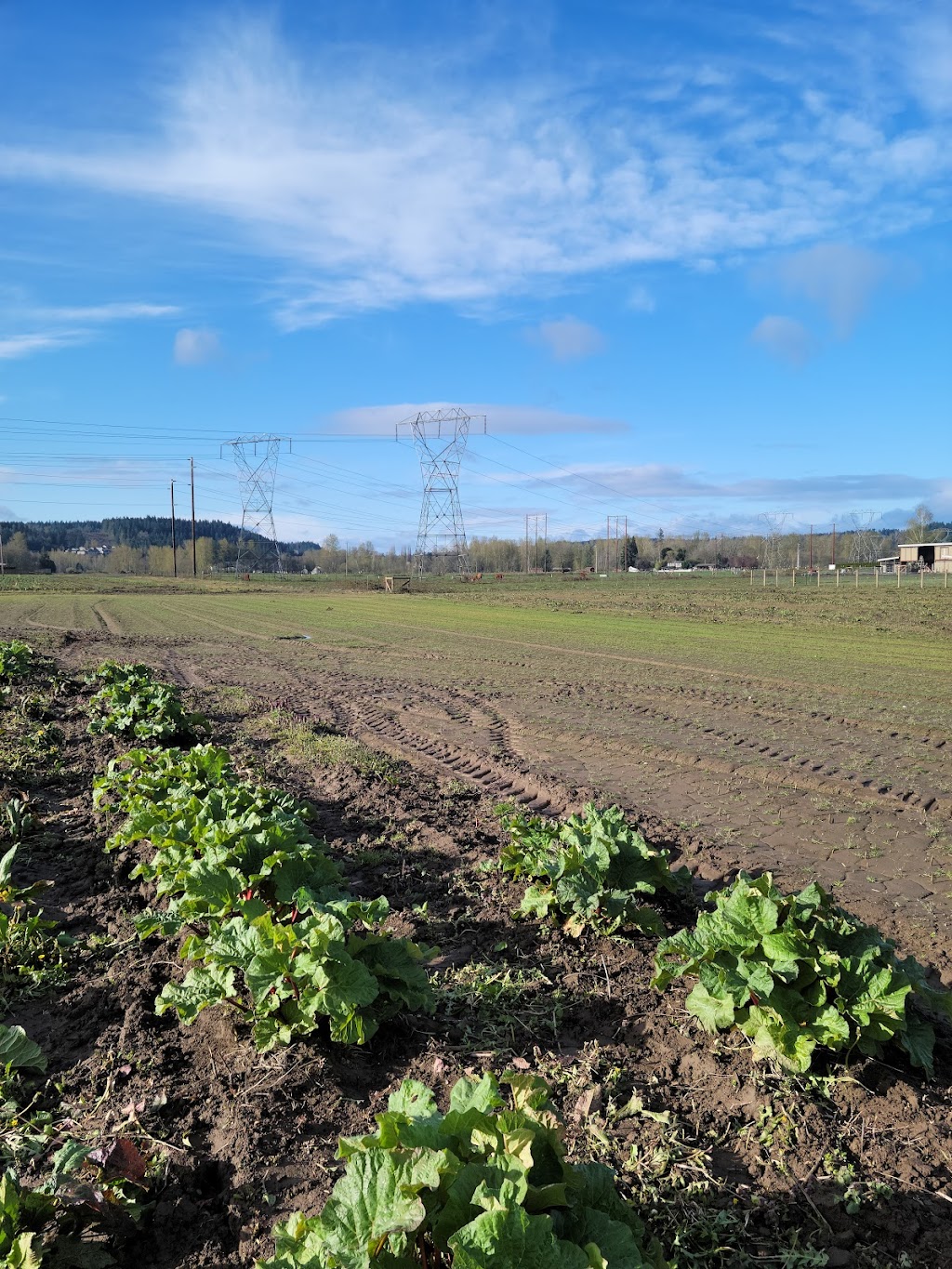 Timber Creek Farm & Forest | 8413 170th Avenue East, Sumner, WA 98390, USA | Phone: (206) 708-0616