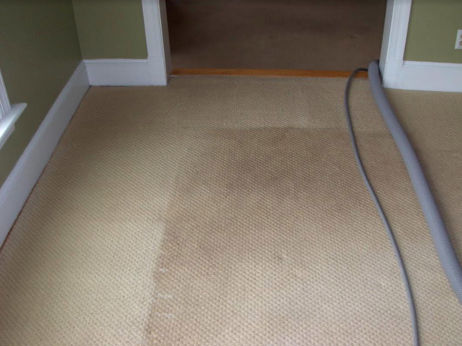 Steam-Rite Carpet Care | 1312 Vickilee Rd, North Chesterfield, VA 23236 | Phone: (804) 347-2465