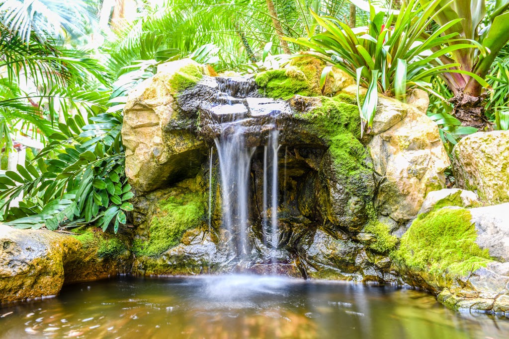 Sunken Gardens | 1825 4th St N, St. Petersburg, FL 33704, USA | Phone: (727) 551-3102