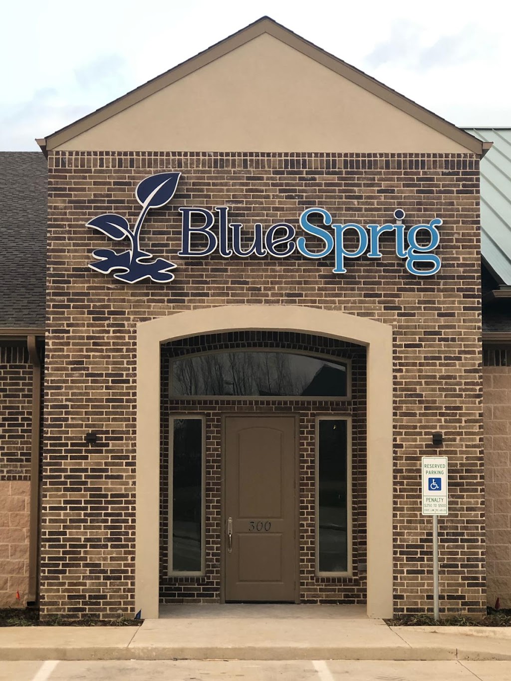 BlueSprig | 4491 Long Prairie Rd Suite 100, Flower Mound, TX 75028, USA | Phone: (469) 687-9184
