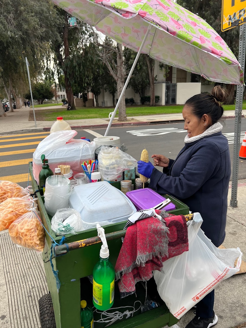 Elote lady | Van Nuys, CA 91405, USA | Phone: (213) 603-0192