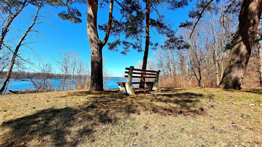 Fishing Dock - Joseph Davis State Park | 4094 Lower River Rd, Youngstown, NY 14174, USA | Phone: (716) 754-8213