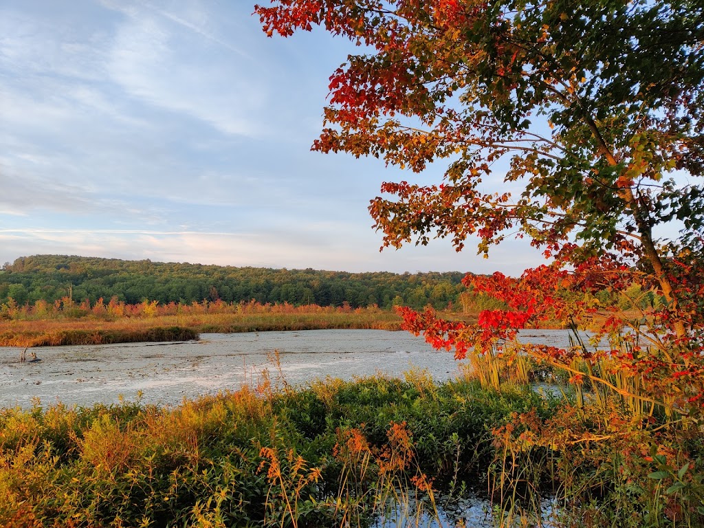 Muscoot Reservoir Recreation Area | NY-100, Somers, NY 10589, USA | Phone: (914) 995-2000