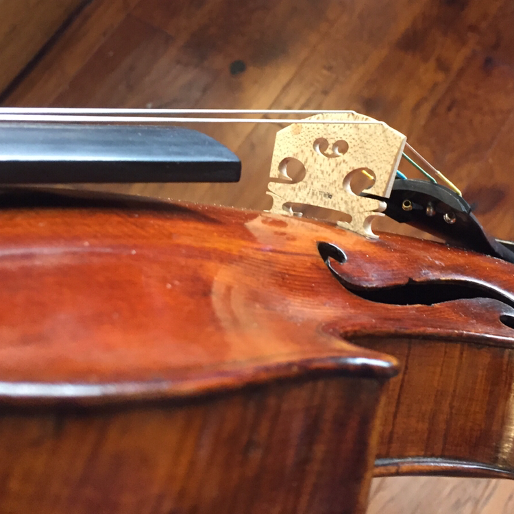 J.K. White Violins | 3939 Stevens Creek Blvd, Santa Clara, CA 95051, USA | Phone: (408) 506-4897