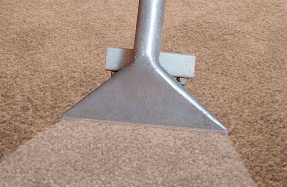 Carpet Cleaner Arlington | 2425 NE Green Oaks Blvd, Arlington, TX 76006, USA | Phone: (817) 381-8913