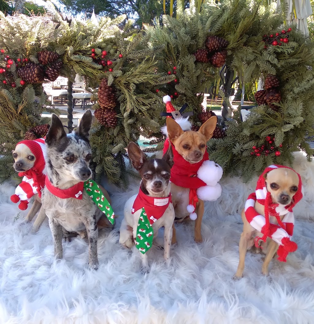 Fabiolas Le Salon | 3861 Mission Ave B29, Oceanside, CA 92058, USA | Phone: (760) 439-4939