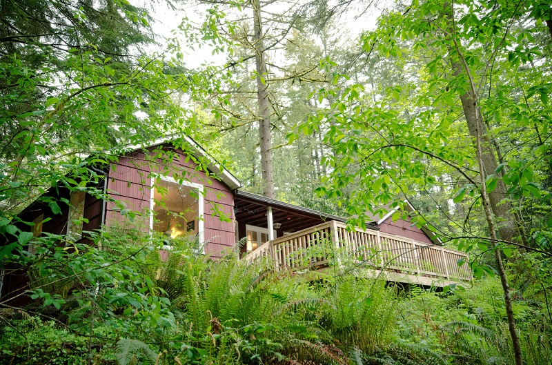 TreeSong Nature Awareness and Retreat Center | 41 Tree Ific Dr W, Washougal, WA 98671, USA | Phone: (360) 837-8733