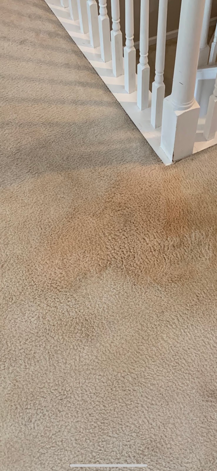 Coastal Clean - Carpet, Upholstery, & Tile Cleaning | 1001 Carissa Ct, Virginia Beach, VA 23451 | Phone: (757) 630-9300