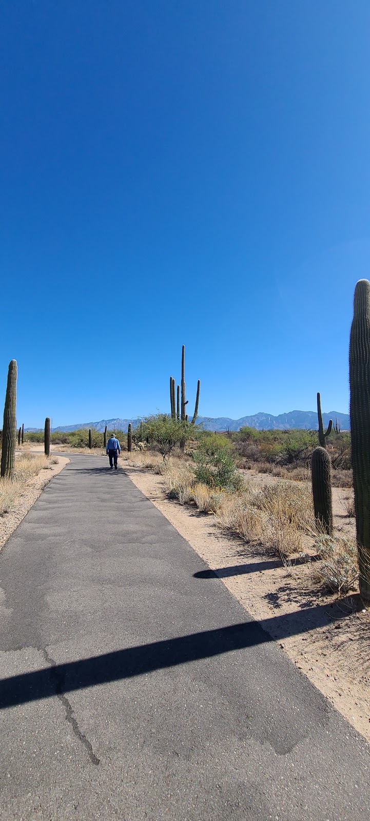 Tangerine Sky Community Park | 4411 W Tangerine Rd, Marana, AZ 85658, USA | Phone: (520) 382-1950