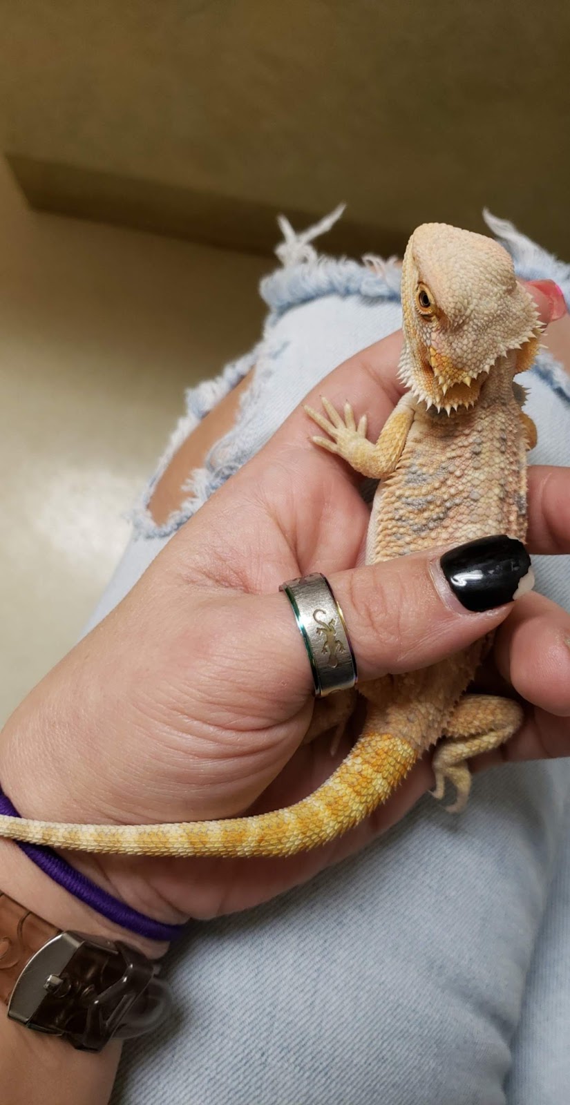 Total Care Veterinary Hospital | 633 Greensboro Rd, High Point, NC 27260, USA | Phone: (336) 841-8877