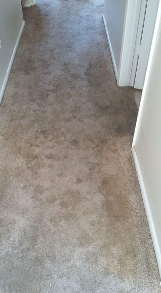 Power Carpet Cleaning | 1056 S Revere, Mesa, AZ 85210, USA | Phone: (480) 430-5269