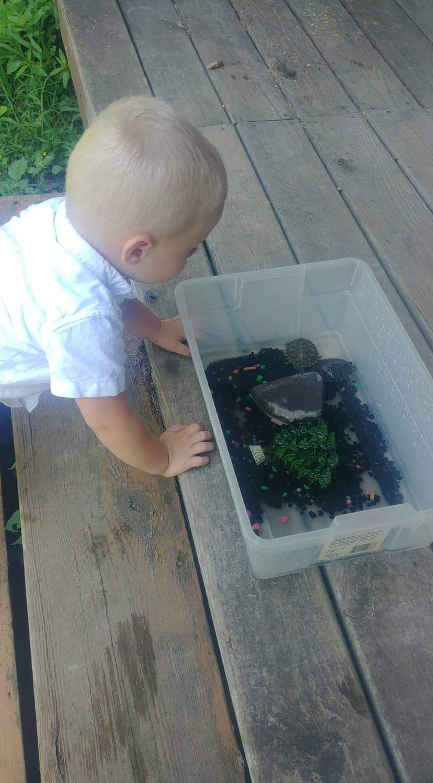 Country Kids Daycare | 20 Bloomingdale Ave, Johnstown, NY 12095, USA | Phone: (518) 705-4432