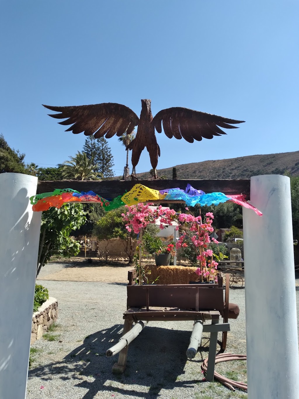 Rancho Las Aguilas | Playas de Rosarito Municipality, 22707 San Patricio, Baja California, Mexico | Phone: 661 111 9154