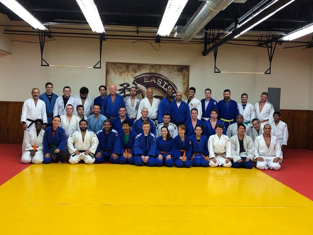 Eastside Dojo | 2655 Premier Dr, Plano, TX 75075, USA | Phone: (469) 443-0303