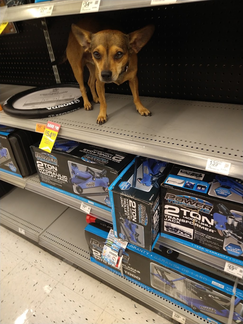 OReilly Auto Parts | 13710 W Waddell Rd, Surprise, AZ 85379, USA | Phone: (623) 544-9560