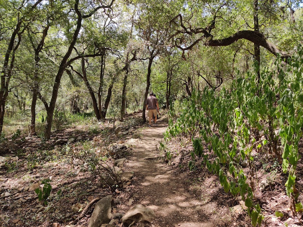 Purgatory Creek Natural Area | 2102 Hunter Road, San Marcos, TX 78666, USA | Phone: (512) 393-8400