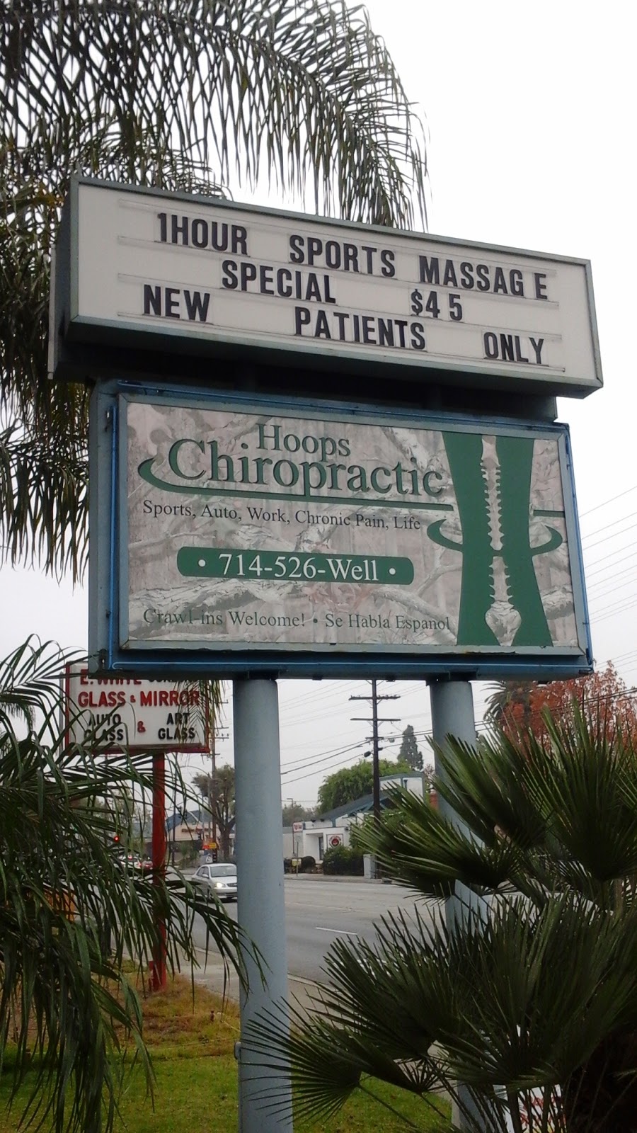 Hoops Chiropractic | 235 Euclid St, Fullerton, CA 92832 | Phone: (714) 526-9355