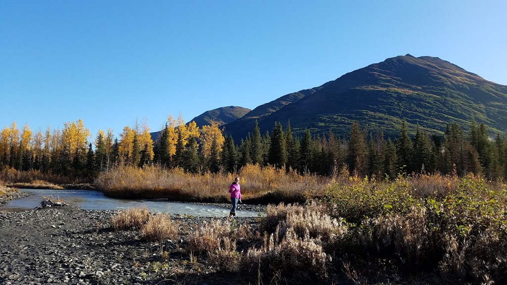 Granite Creek Campground | Moose Pass, AK 99631, USA | Phone: (907) 522-8368