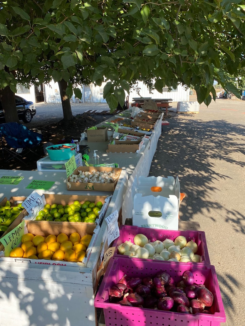 Big Tree Fruit Stand | 17725-, 17877 CA-88, Lockeford, CA 95237, USA | Phone: (209) 663-2661