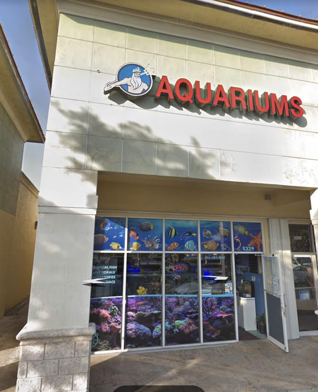 Neptunes Aquariums | 5329 W 20th Ave, Hialeah, FL 33012, USA | Phone: (305) 501-7333